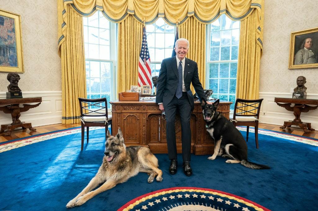 Biden junto a sus dos perros - Biden cumple sus primeros 100 días en el gobierno y en esta nota hablamos acerca de las nuevas medidas de inmigracion de su gestión.
