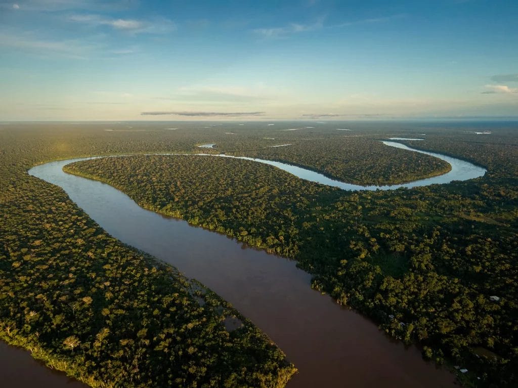 El Amazonas es el pulmón del mundo, pero durante las últimas décadas la deforestación ha causado estragos en esta región y necesitamos tomar acción.