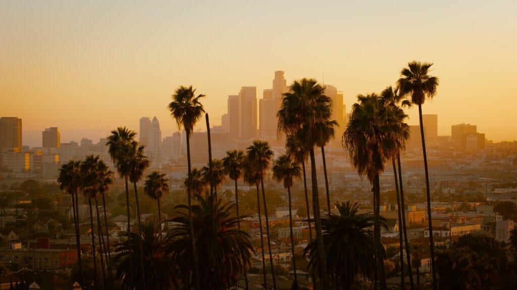 Este artículo habla sobre la diseñadora Brenda Equihua. La foto muestra las palmeras de la ciudad de Los Angeles.