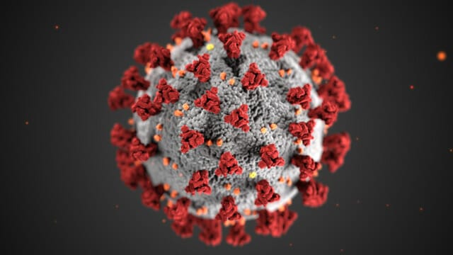 Este artículo habla sobre el pedido de congresistas demócratas de terminar la medida Título 42. La imagen muestra una partícula de coronavirus.