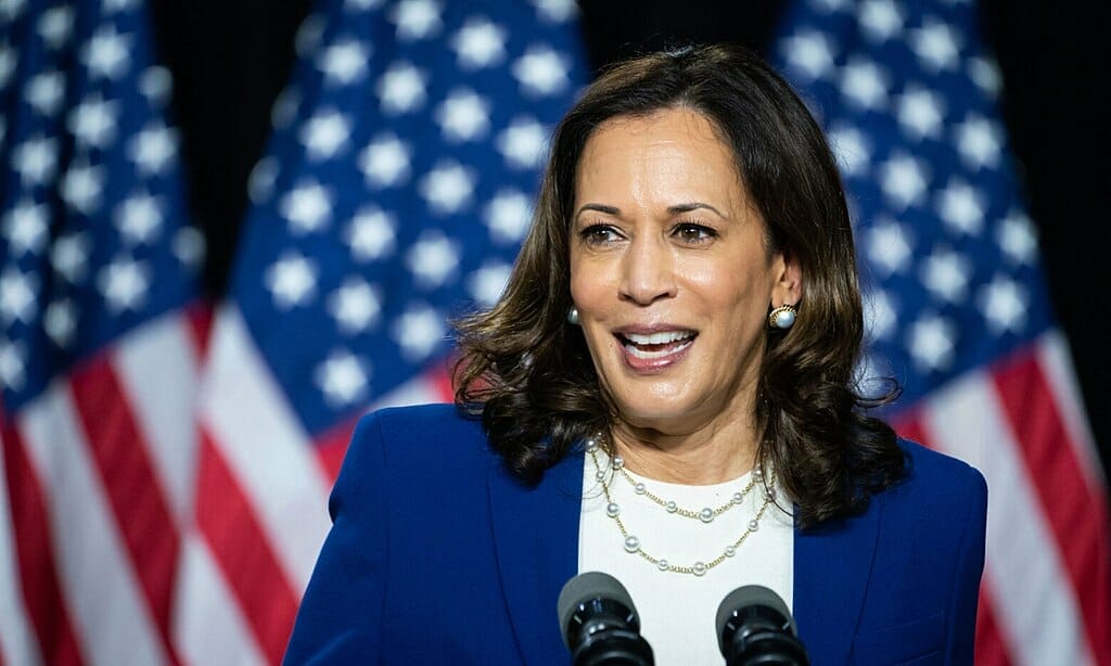 Este artículo habla sobre la iniciativa "Partnership for Central America". La imagen es un retrato de la vicepresidenta Kamala Harris.