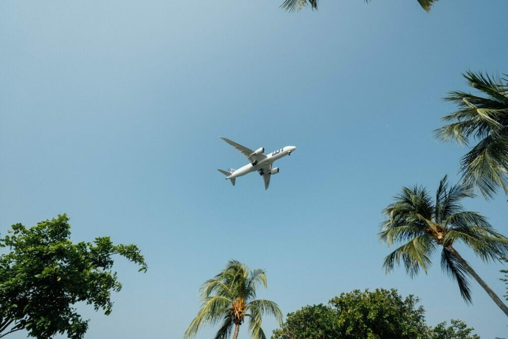 Un avión sobre el cielo azul y despejado. Se ven algunas palmeras. Este artículo habla sobre los "vuelos fantasma" que son blanco de crítica de los republicanos.