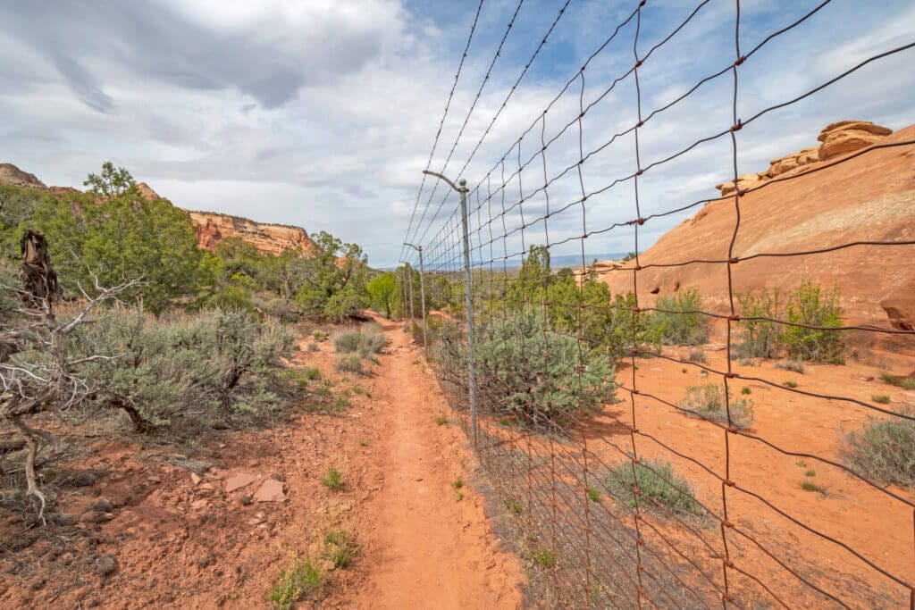 Frontera sur de Estados Unidos cuando termina el Título 42