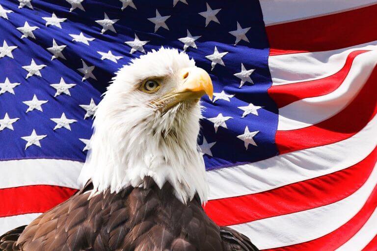 Águila y bandera estadounidense representando los requisitos para entrar al army USA