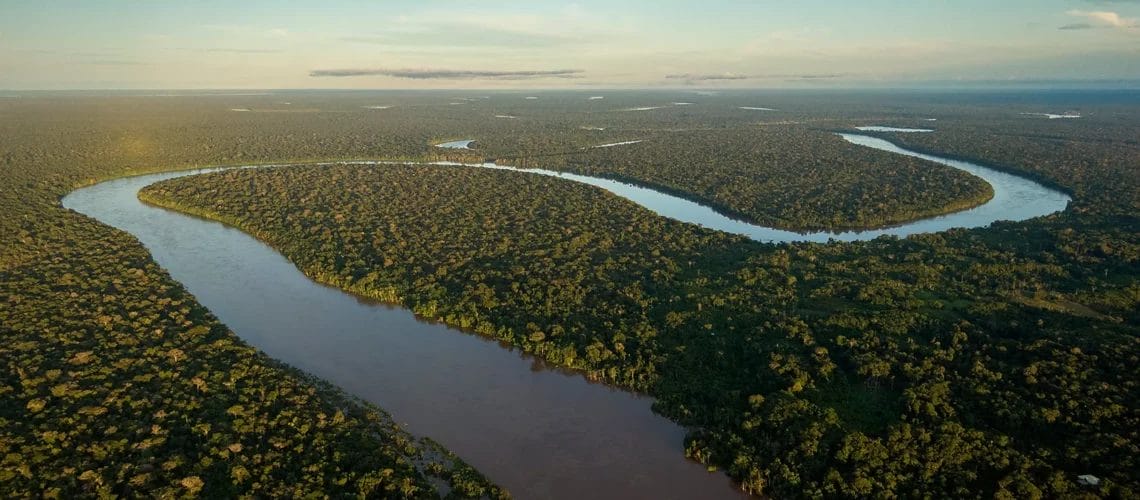 El Amazonas es el pulmón del mundo, pero durante las últimas décadas la deforestación ha causado estragos en esta región y necesitamos tomar acción.