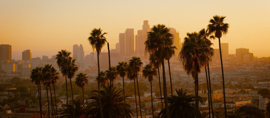 Este artículo habla sobre la diseñadora Brenda Equihua. La foto muestra las palmeras de la ciudad de Los Angeles.