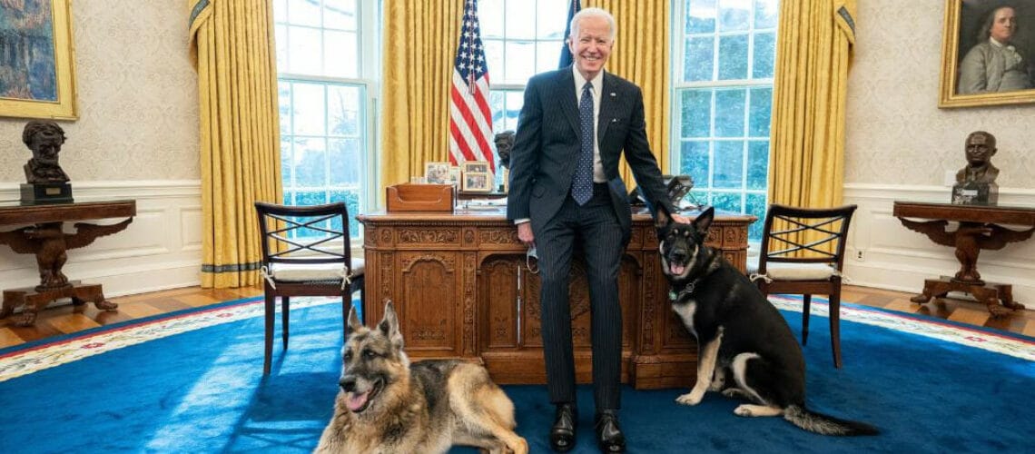 biden-and-his-dogs